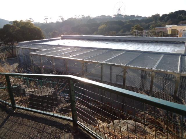 東伊豆町 某動物園 | 高真建設の施工実績