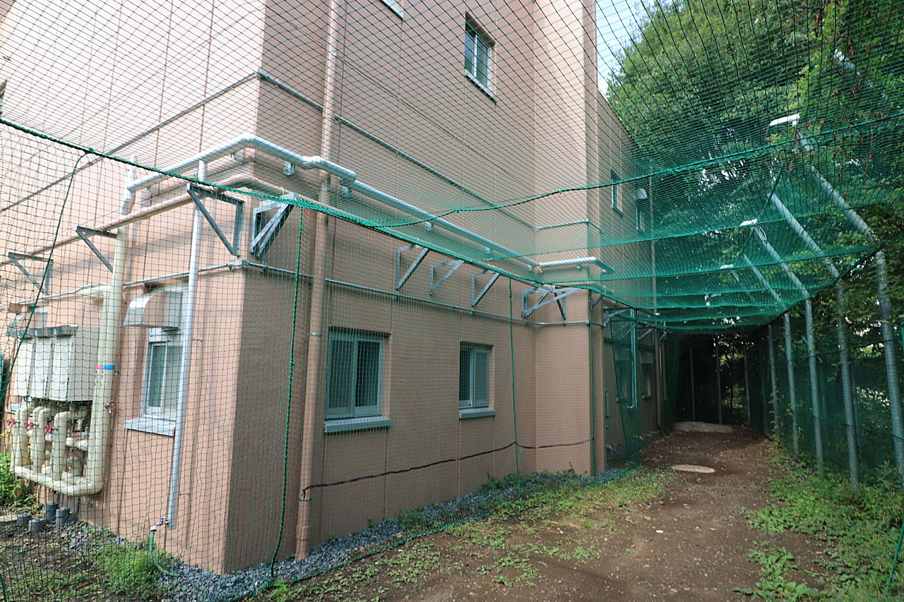 学校法人芝学園 体育館改修工事 | 高真建設の施工実績